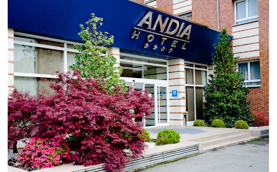 Andia